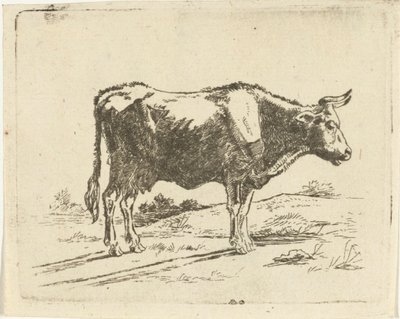 vaca em pé de Jan Dasveldt