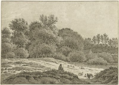 Paisagem perto de Overveen de Jan Evert Grave