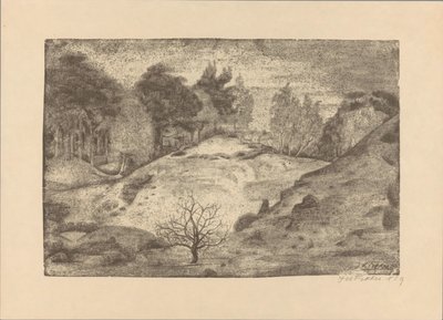 Heath perto de Laren de Jan Fekkes (signed by artist)