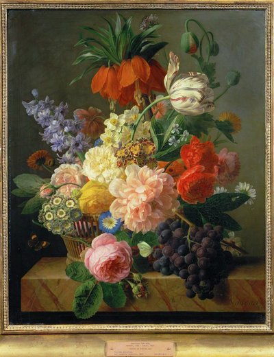 Flores e frutos ... (pintura sobre tela) de Jan Frans van Dael