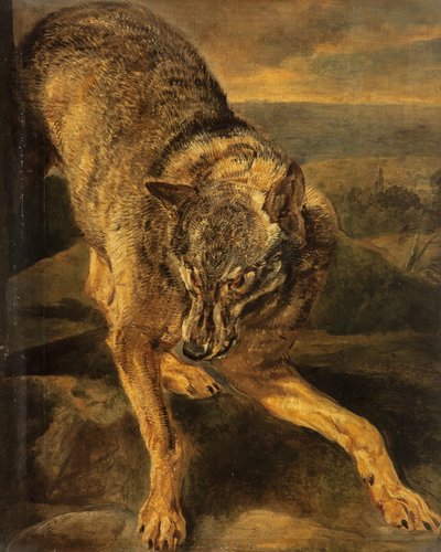 Um lobo de Jan Fyt
