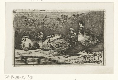 Quatro patos na beira-mar de Jan Gerard Smits