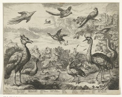 Aves diferentes numa paisagem de Jan Griffier (I) (copy after)