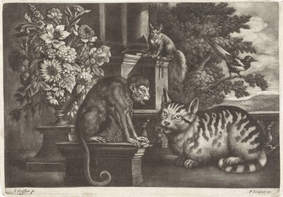 Macaco, gato, esquilo e pega de Jan Griffier (I)