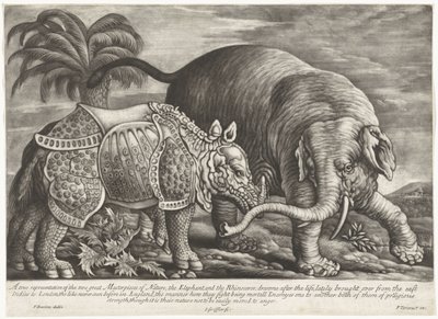 Olifant em Neushoorn Uma verdadeira representação das duas grandes Obras-Primas da Natureza, o Elefante e o Rinoceronte (título no objeto) de Jan Griffier (I)