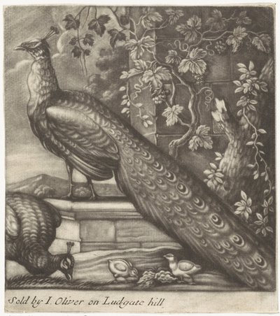 Pavões de Jan Griffier (I)