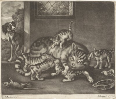 Gato com cinco meninos de Jan Griffier (I)