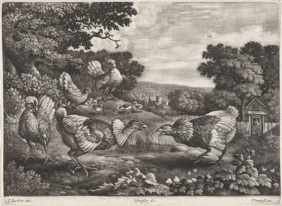 galinhas de briga de Jan Griffier (I)