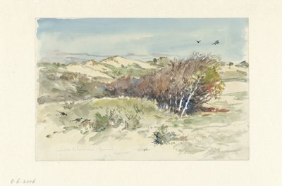 Paisagem dunar entre Bloemendaal e IJmuiden de Jan Hoynck van Papendrecht