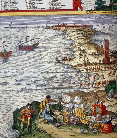 Cadeia de pesca e preparação de peixes no porto da cidade de Cádis de Jan Janssonius