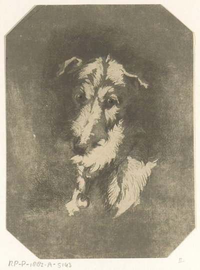 Cabeça de galgo de Jan Karel Jacob de Jonge