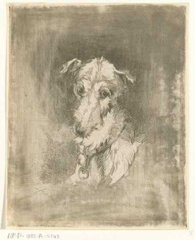 Cabeça de galgo de Jan Karel Jacob de Jonge