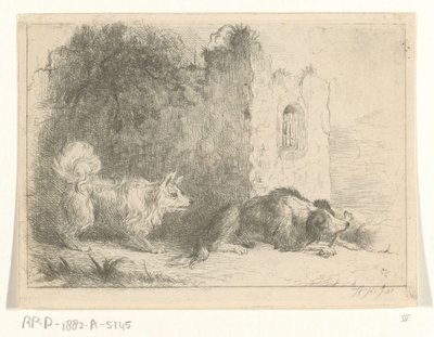 Dois cães de Jan Karel Jacob de Jonge