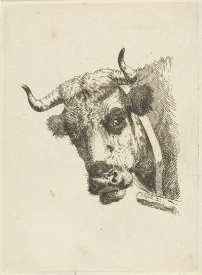 cabeça de vaca de Jan Kobell (II)