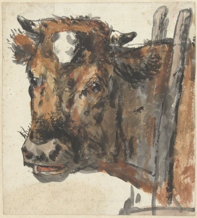 Cabeça de uma vaca de Jan Kobell (II)