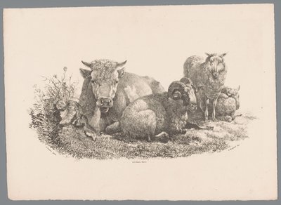 Vaca, carneiro e duas ovelhas Beesten Studien por J. Kobell após Paul Potter Nr. 1 (título da série) de Jan Kobell (III)