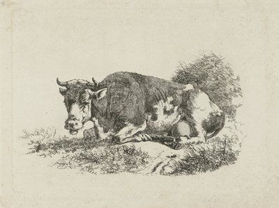 Vaca reclinada de Jan Kobell (III)