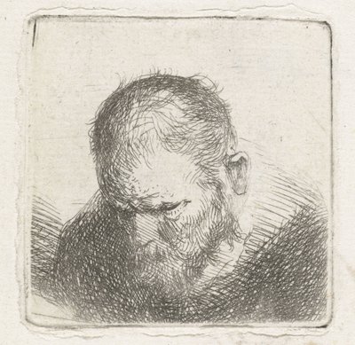 homem com barba de Jan Lievens (possibly)
