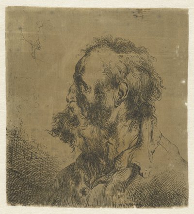 Busto de um velho com barba Vários tronikens geets por J. L. (título da série) de Jan Lievens