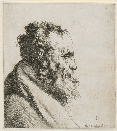 Busto de um velho homem barbudo, de perfil para a direita de Jan Lievens