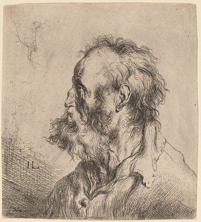 Busto de um velho barbudo de Jan Lievens