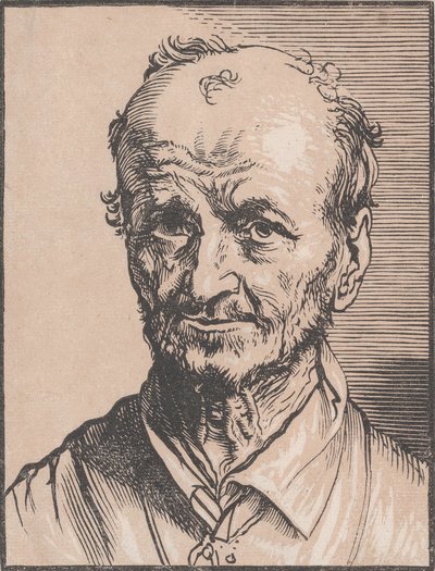 Busto de um Homem, século XVII. de Jan Lievens