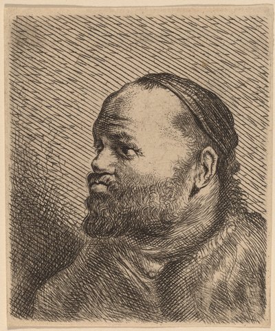 Busto de um homem com lábios grossos de Jan Lievens