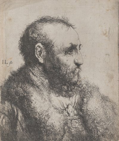 Busto de ancião com gola de pele, século XVII. de Jan Lievens