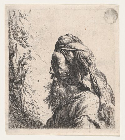 Homem de turbante virado para a esquerda de Jan Lievens