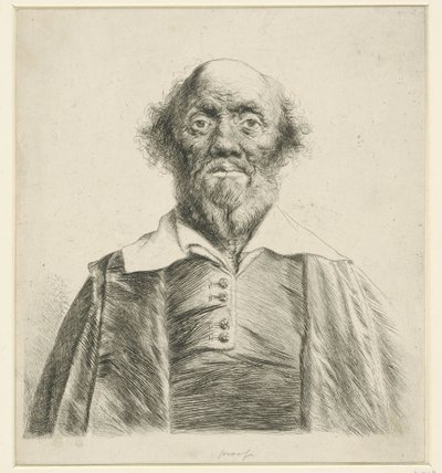 Retrato de um homem idoso de Jan Lievens