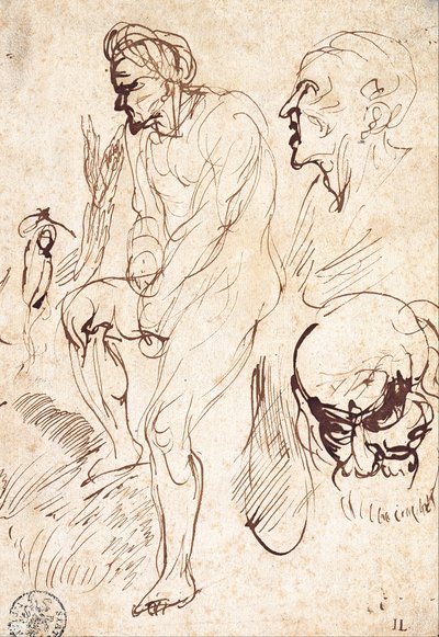 Estudos posteriores ao modelo de Jan Lievens
