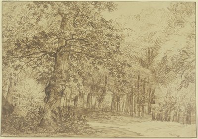  de Jan Lievens