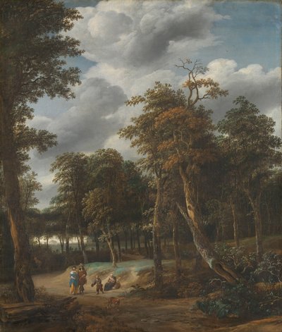 Estrada Florestal de Jan Looten