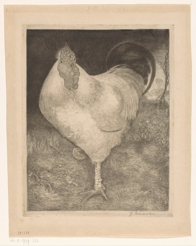 Galo numa perna de Jan Mankes (signed by artist)