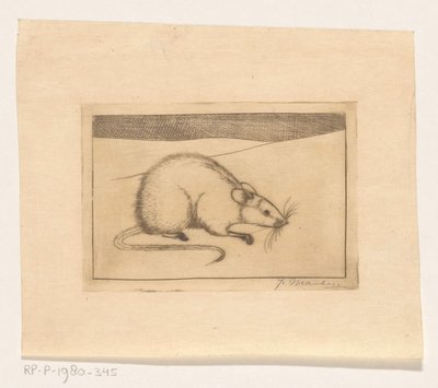 Rato de Jan Mankes (signed by artist)