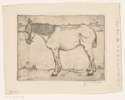 Cavalo de Jan Mankes (signed by artist)