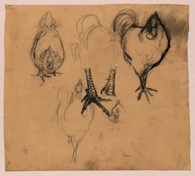 Estudos de um Galo e uma Galinha de Jan Mankes