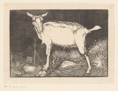 cabra branca de Jan Mankes