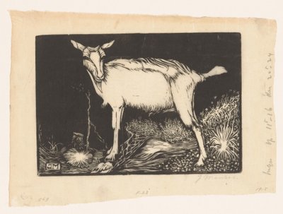 cabra branca de Jan Mankes