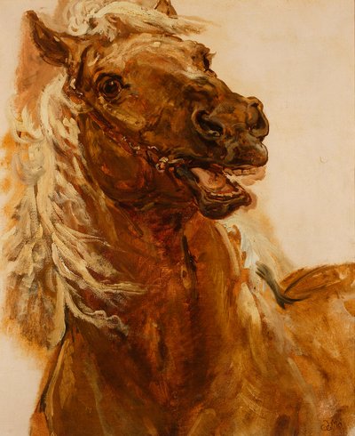 Esboço da cabeça de um cavalo para o quadro «Zamoyski junto a Byczyna» de Jan Matejko