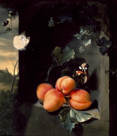 Ainda vida com damascos e borboletas, 1683 de Jan Mortel