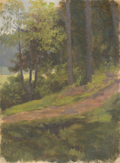 Caminho na Borda da Floresta de Jan Nowopacký