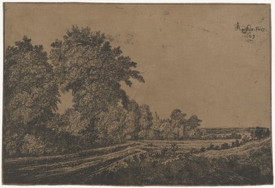 Estrada rural com árvores de Jan Ruyscher