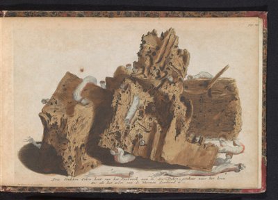 Partes do trabalho de estacas afetadas por vermes, 1731 Três pedaços de madeira de carvalho do Paalwerk aan de Zee-Dyken, desenhados após a vida, pois foi perfurado pelos Wurmen (título no objeto) de Jan Ruyter