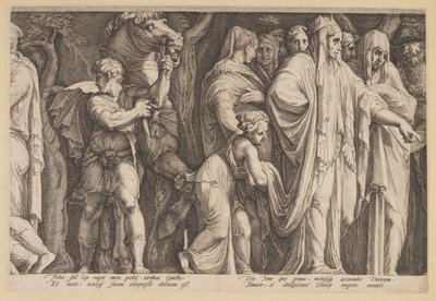 O Castigo de Niobe (Prato 6) de Jan Saenredam