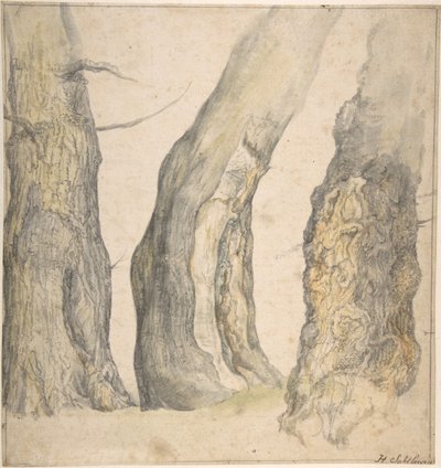 Estudo de três velhas árvores retorcidas, 1660. de Jan Siberechts