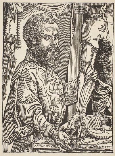 Andre Vesale, cópia de Boris Mestchersky (n.1957), Ilustração da História da Francaise Nacional, Ciências, Volumes I e II, por Gabriel Hanotaux (1853-1944), 1924 de Jan Stephen van Calcar
