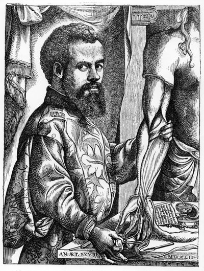 Retrato de Andreas Vesalius (1514-64) de seu livro &39;De Humani Corporis Fabrica&39;, de 1543, ilustração de &39;Ciência e Literatura na Idade Média e do Renascimento&39;, escrito e gravado por Paul de Jan Stephen van Calcar