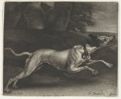 Cão de corrida de Jan Verkolje (I)