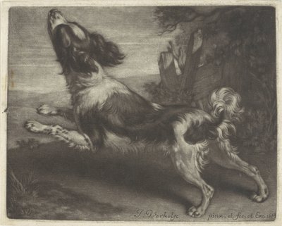 Cão de corrida, possivelmente um spaniel de Jan Verkolje (I)